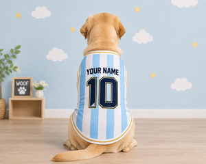 Chaleco deportivo de malla a rayas personalizado para perros con nombre y número 10 para mascotas, para usar en todas las estaciones - Product Image 1