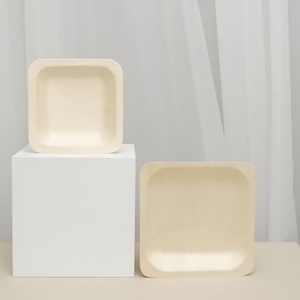 Assiettes carrées en palmier d'arec de qualité supérieure, vaisselle durable pour fêtes, 10 pouces, pour collations et plats rapides, articles de vaisselle en 2026 - Product Image 1