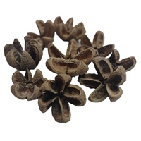 Coque de fleur botanique Kartoos, matériau végétal naturel séché, écologique, pour pot-pourri et décoration pour toutes les occasions
