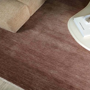 Modern Brown Handwoven Area <b>Rug</b> Natural Textured Carpet with Fringe Border for Living Room Bedroom Home Decor <b>Rustic</b> Chic Design - Product Image 5