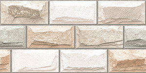 Carreaux muraux Premium Choice de qualité supérieure, carreaux d'élévation Asia Tiles 300x600mm pour grandes villas de luxe. - Product Image 2
