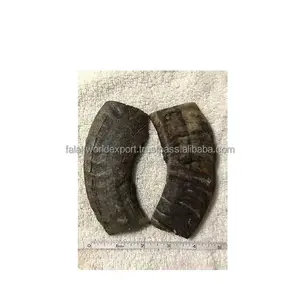 Natural Horn Yemeni Handle With Natural Polished Best Quality Buffalo Horn Sword Handle Product From India FALAK WORLD EXPORT
