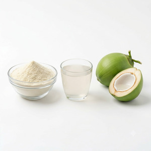 Premium Quality Tender Coconut Water Powder Natural Food Grade Bulk Wholesale Supplier Manufacturer Exporter India - Product Image 3