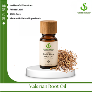 Huile de racine de valériane professionnelle pour produits de beauté aromatiques et services de distribution de la chaîne d'approvisionnement internationale - Product Image 1