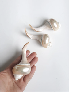 Reposapalillos de Concha Marina Pulida Ecológica Hecha a Mano en Vietnam, Artesanía Genuina para Hostelería y Servicios de Catering - Product Image 2