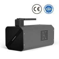 Grabador Láser de Inicio con un Solo Botón, Estándar Industrial, Duradero, Máquina de Marcado Fácil de Usar, Mini Impresora Láser para PCB, Piedra, Medallas