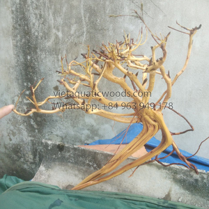 Décorations d'aquarium en bois flotté naturel de qualité supérieure, forme irrégulière, utilisation durable, fabriqué au Vietnam - Product Image 5