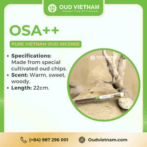 Chips de Madera de Agar Natural Premium - Aroma a Oud, Venta al por Mayor, Ideal para Minoristas de Regalos B15-EN-030 - Product Image 6