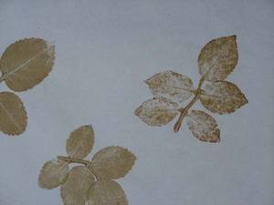 Handmade Recyclable Art <b>Paper</b> with Natural <b>Leaf</b> Patterns Chemical-Mechanical Pulp 70 G/m Uncoated for Gift & Craft Use - Product Image 2