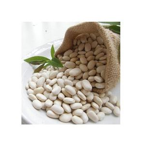 Venta al por mayor de frijoles blancos: Precio de fábrica, frijoles blancos de forma alargada - Product Image 2