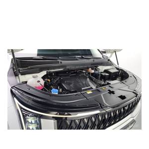 Kia Carnival 2024 de 7 Plazas, Gasolina, Limusina de Alta y Baja Gama, 28,412 km, Caja de Cambios Automática, Volante a la Izquierda - Product Image 6