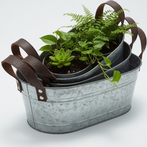 Juego de 3 Cestas Metálicas Anidadas de Hierro Galvanizado, Ovaladas, Decorativas para Jardín o Patio - Product Image 2