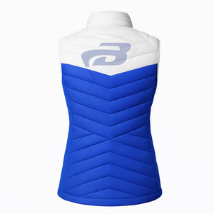 Chaleco Acolchado Personalizado de la Hermandad Delta Sigma Theta DST, Chaleco Acolchado de Alta Calidad, Chaleco Acolchado para Mujer - Product Image 3