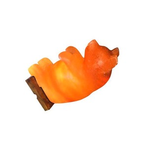 Lámpara de Sal Rosa del Himalaya con Forma de Animal para Iluminación Decorativa, Fabricante OEM - Product Image 1