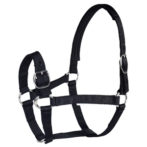 Horse <b>Head</b> Collar Adjustable Thickened Halter Bridle Comfortable Durable Riding Racing Training Rope Nylon Western Saddle <b>Style</b> - Product Image 1