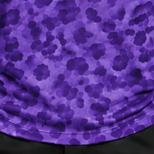 Deep Purple <b>Leopard</b> <b>Print</b> T <b>Shirt</b> Short Sleeve Casual Fashion Crew Neck Pattern Tee Lightweight Comfortable Streetwear Daily Top - Product Image 6