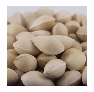 เมล็ดแปะก๊วยออร์แกนิคแห้งคุณภาพพรีเมียมแท้ 100% บริษัท TRN Trader LLC ขั้นต่ำ 1 ตัน คุณภาพดี กระบวนการผลิตแบบดิบ - Product Image 3