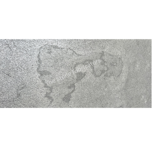 Lámina de Chapa de Piedra Duradera Silver Shine con Superficie Pulida, Antácida, para Exterior, Diseño Minimalista, TSF India - Product Image 2