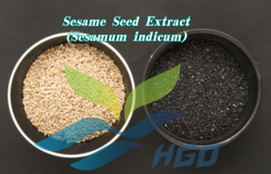 โรงงาน HGO จัดจำหน่ายสารสกัดงาดำธรรมชาติ (Sesamum indicum) เกรดอาหาร เซซาไมน์ 98% สารสกัดมาตรฐาน - Product Image 3