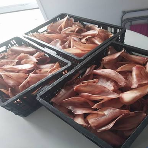 Orejas de Cerdo Congeladas Premium con Carapa, Carne de Oreja de Cerdo Entera, Suministro a Granel, Precio de Fábrica para Exportación Global - Product Image 6