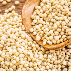 Graines de sorgho de qualité supérieure, stock frais, vente en gros, approvisionnement en vrac, exportation mondiale, Afrique du Sud, longue durée de conservation pour l'alimentation - Product Image 5