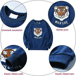 Conjunto de chándal de 2 piezas para niños personalizado al por mayor, Conjunto de sudadera con capucha y pantalones de chándal para correr, conjunto de ropa para niños - Product Image 4