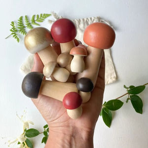 Colección de Juguetes de Madera Montessori Premium para Bebés – Juguetes Educativos para el Desarrollo Sensorial y de Habilidades Motoras para la Primera Infancia - Product Image 1