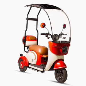รถสามล้อไฟฟ้าอเนกประสงค์ราคาประหยัดรุ่นใหม่ปี 2025 ทำจากอลูมิเนียม พร้อมที่จับพลาสติก รับประกัน 3 ปี สำหรับผู้โดยสาร รับผลิตแบบ OEM และ DIY - Product Image 2