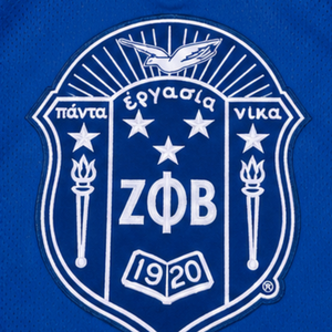 Camiseta de Hockey Zeta Phi Beta para Mujer, Azul Rey con Rayas Blancas, Manga Larga, Malla, Escudo Bordado, Parche de Manga 1920, Hermandad - Product Image 6