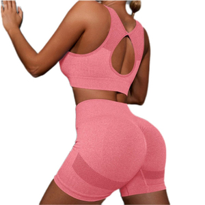Ensemble de sport 2 pièces pour femme en nylon et élasthanne sans couture, soutien-gorge de sport et short de yoga, haute qualité, personnalisé, vente en gros - Product Image 6