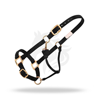 Harnais de cheval en nylon réglable, collier de tête durable, harnais équestre