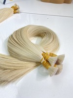 Extensions de cheveux vietnamiens vierges à 100 %, double épaisseur, 24 pouces, style lisse, queues de cheval en vrac, couleur platine, de la marque NASA HAIR VIETNAM