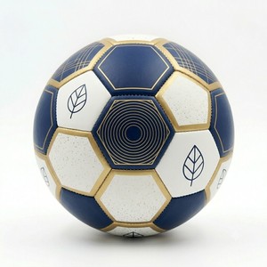 New Professional 2026 Soccer Balls Lightweight Eco-Friendly Customized Logo Leather Material Sports Premium Quality OEM Service - Product Image 1
