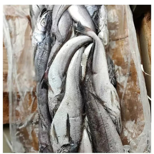 Pescado Congelado: Caballa del Pacífico, Tilapia, Calamar, Salmón - Product Image 1