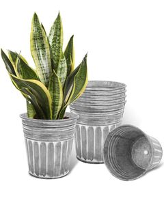 Minimalist Stainless Steel Flower <b>Pot</b> With Wooden Base Indoor Plant Planter Desktop Use Circular Design - Product Image 4