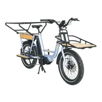 Pneus anti-crevaison de cadre d'alliage d'aluminium de moteur sans brosse de vélo de cargaison électrique de la femme des fabricants chinois pour l'exercice