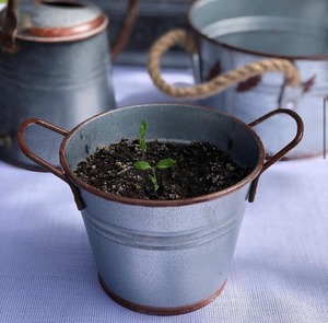 Vintage Farmhouse Metal Planter Pot With Handles Suitable For Indoor <b>Plants</b> Succulents Flowers And <b>Table</b> Styling From India - Product Image 1