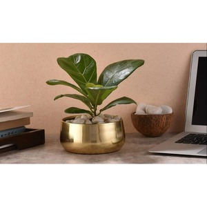 Macetero de Metal de Diseño Admirable con Acabado Dorado, Maceta para Plantas, para Hogar o Jardín - Product Image 3