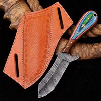 Couteau à lame fixe en acier Damas, pointe tombante, bord droit, manche en bois, style Bowie, pour camping en extérieur, OEM