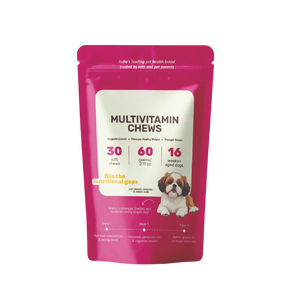 Suplementos Masticables Multivitamínicos 25 en 1 de Marca Privada de Fábrica, Refuerzan el Sistema Inmunológico y Antioxidantes con Probióticos para Mascotas - Product Image 1
