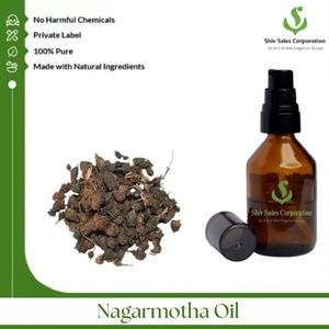 Aceite Esencial de Nagarmotha 100% Puro y Natural de Calidad Premium, Grado Industrial, Color Amarillo Oscuro, 1000 kg, de la India, Ampliamente Vendido al por Mayor - Product Image 3