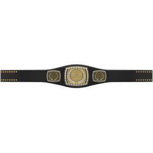 Ceinture du Nouveau Championnat Intercontinental du Monde AEW Unisexe Ronpex Équipement d'entraînement international d'arts martiaux Laiton Zinc - Product Image 4