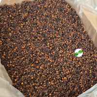 Clavos de Olor Secos de Sulawesi Tenggara, Indonesia, 2 Años de Vida Útil, Marca Global Agrokomoditi, Directo de Fábrica