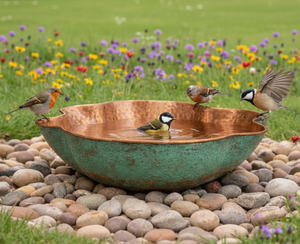 Nouveaux et tendances : abreuvoirs et mangeoires à oiseaux en métal pour parcs et jardins, design unique, qualité supérieure, durables - Product Image 1