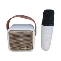 Mini haut-parleur extérieur sans fil Bt Haut-parleurs portables Haut-parleur karaoké portable avec micro sans fil