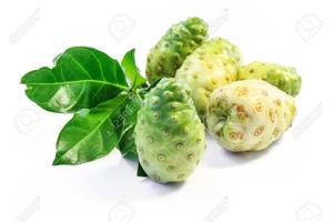 Fruta de Noni para la Salud y Uso Herbal – Alta Calidad, 100% Natural // Mr.Tom - Product Image 4
