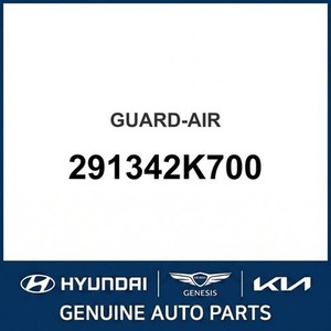 Soul New Guards & Protection Adicionales 291342K700 - Product Image 1
