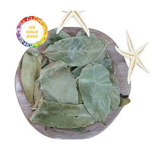 HOT SELLING: Wholesale Premium Dried Soursop Leaves Natural Graviola <b>Tea</b> Leaves No Additives Vietnam Factory Direct Sale - Product Image 2