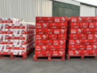 Cerveza Vietnamita de Primera Calidad, 33cl/330ml, en Latas, Venta al por Mayor a Precio de Fábrica, Cerveza al por Mayor, ODM OEM en Vietnam