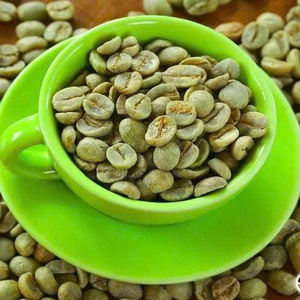 Granos de Café Verde Vietnamita Robusta, Suministro a Granel, Alta Calidad G1, Exportación OEM ODM, Directo de Fábrica, Venta Mundial, 24 Meses de Vida Útil - Product Image 4